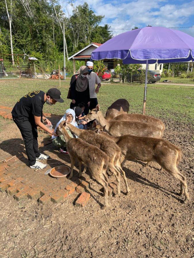 Branda Kampung Sumpitan Lenggong Tiada Sungai Hotel Kampong Ulu Jepai Ngoại thất bức ảnh